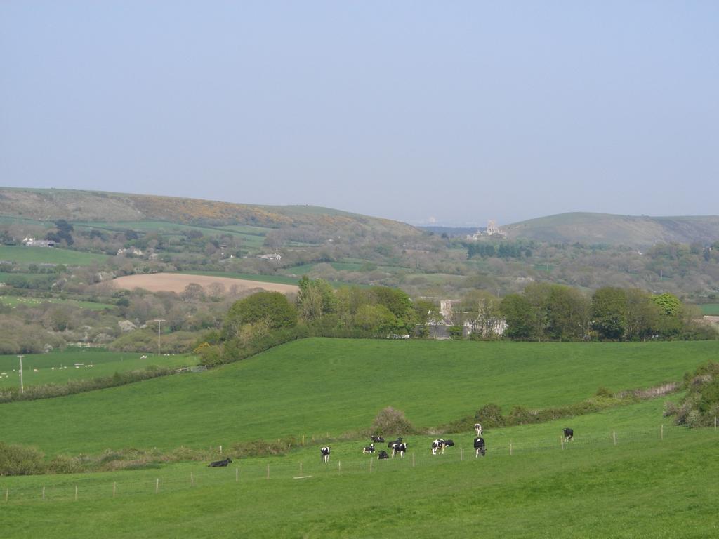 Bradle Farmhouse Corfe Castle Exteriör bild